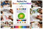 chicaro 12 colours pencils 3.0mm