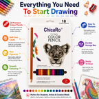 Artist Quality 18-Colour Pencil Set – Smooth, Rich & Easy-to-Sharpen Pencils for Creative Artwork