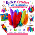 Assorted Craft Feathers – Bright Natural Feathers for DIY Bird Crafts, Cards, Decorations & School Projects