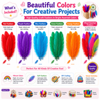 Assorted Craft Feathers – Bright Natural Feathers for DIY Bird Crafts, Cards, Decorations & School Projects