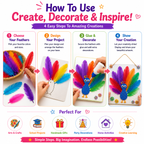 Assorted Craft Feathers – Bright Natural Feathers for DIY Bird Crafts, Cards, Decorations & School Projects