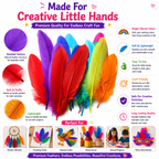 Assorted Craft Feathers – Bright Natural Feathers for DIY Bird Crafts, Cards, Decorations & School Projects