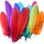 Feathers, Multi&Single Color Feathers for Crafts, DIY Crafts